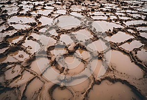 Soil surface forms a pit with stagnant water accumulation.AI Generated